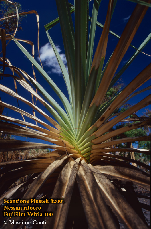 Australia. Plustek OpticFilm 8200i (7200 dpi). FujiFilm Velvia 100