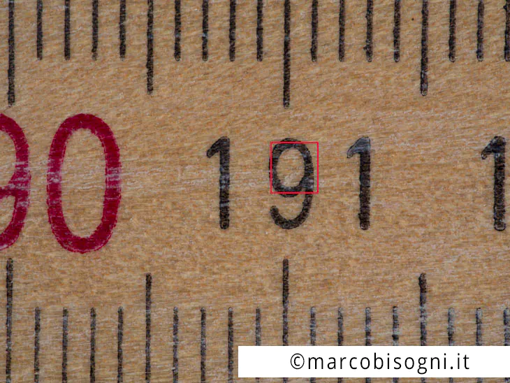 Leica 45 mm Macro-Elmarit, R.R. 1:1 - Il quadrato rosso indica dove è stato effettuato il crop al 100% per il test