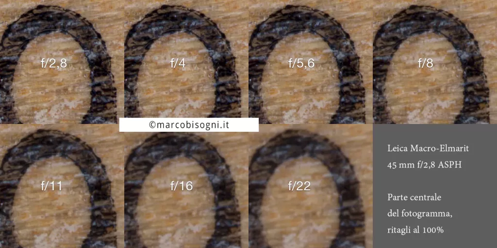 Leica 45mm Macro-Elmarit, R.R. 1:1 - Crop al 100% da f/2,8 a f/22