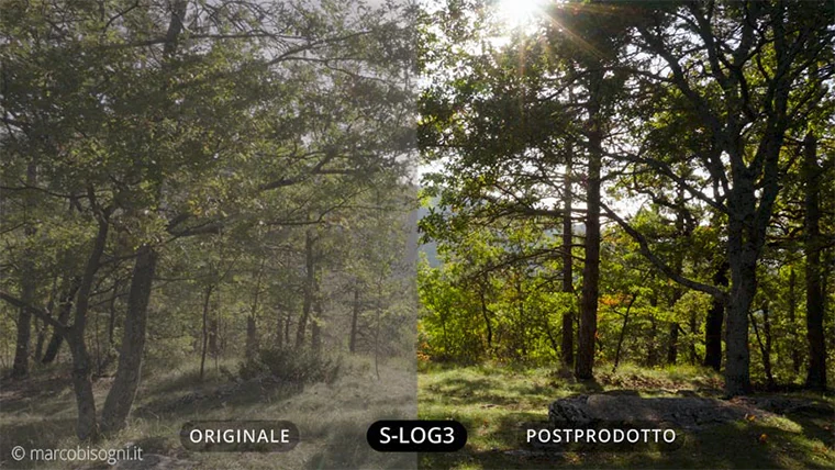 Nel video linkato in fondo alla pagina trovate questa e altre immagini di esempio a dimensioni maggiori