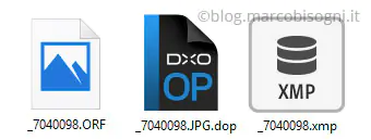 File RAW Olympus (.ORF) con due file sidecar: Adobe (.xmp) e DxO (.dop)