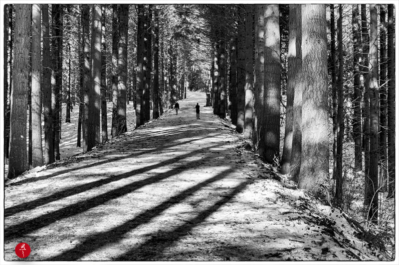 Lumix S5 + Lumix S 20-60 mm (mano libera, conversione in BN in post)