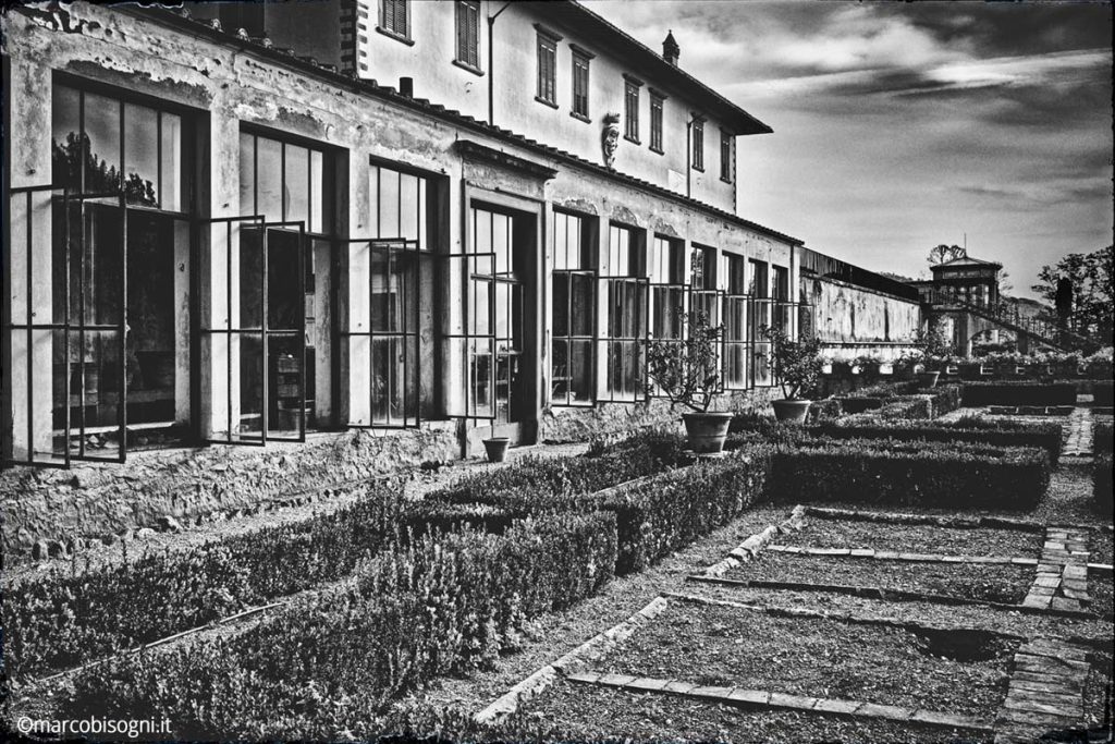 fujifilm x100v bn