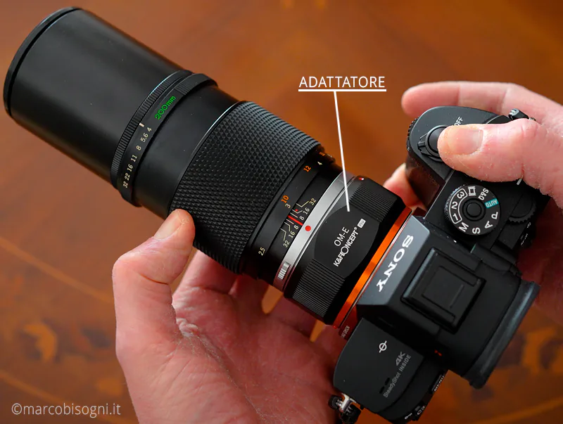 Zuiko 200mm f/4 adattato su Sony  A7RIII (mirrorless)