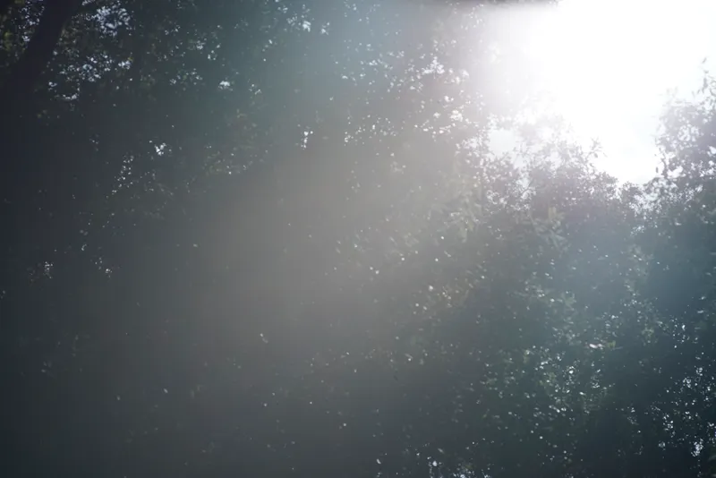 Flare, velatura