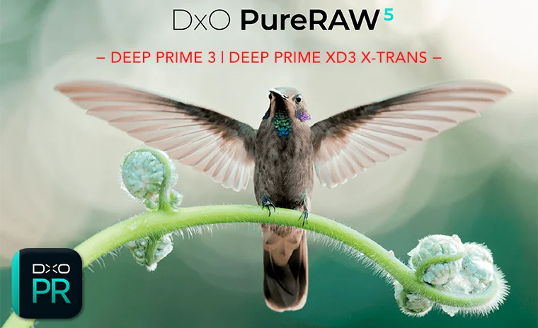DXO PureRaw 5 novità e prova in anteprima