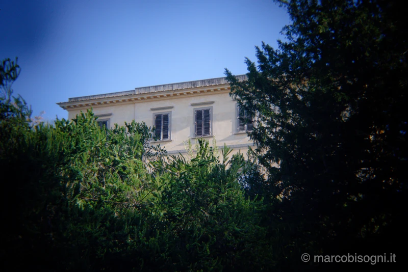 Obiettivo Holga 120 su Sony A7R III - immagine d'esempio