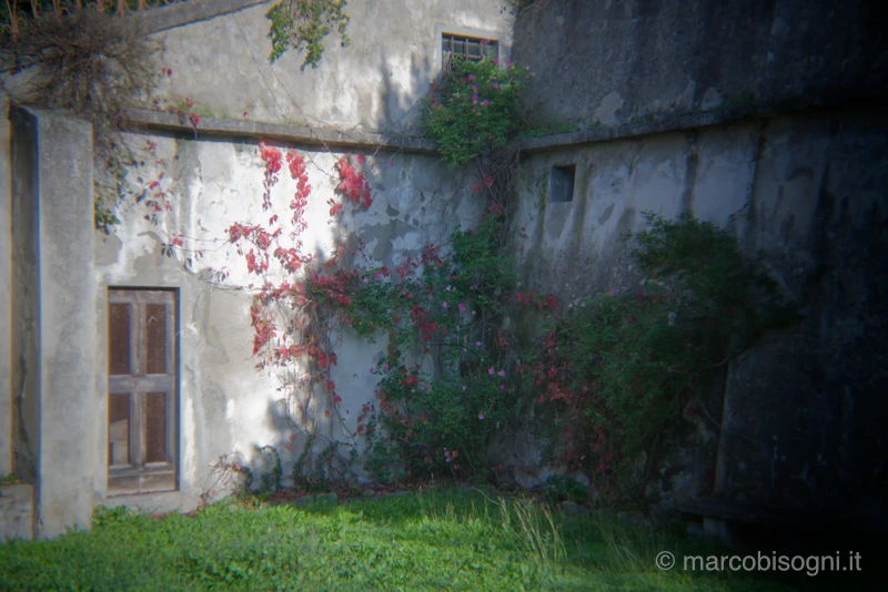 Obiettivo Holga 120 su Sony A7R III - immagine d'esempio